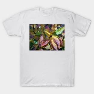 Autumn leaves with coloring T-Shirt